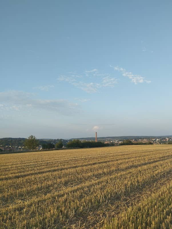 Aussichtspunkt - Image 1