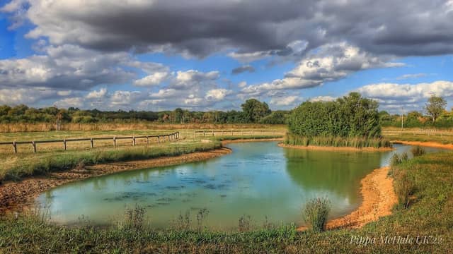 Shurlock Row Nature Reserve - Image 1