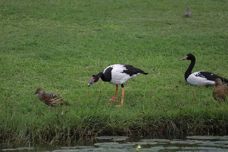 Thoroughbred Park Reserve - Image 1