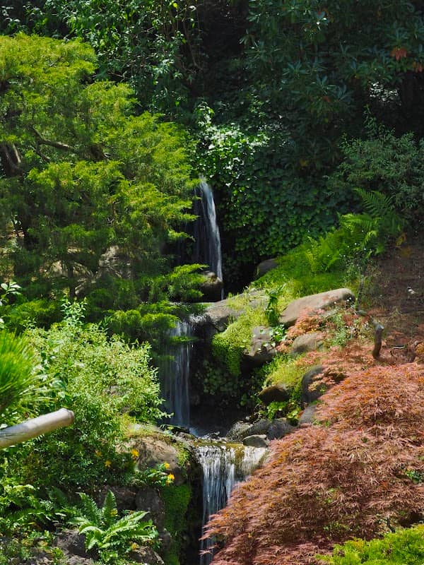 Koi Pond - Image 3