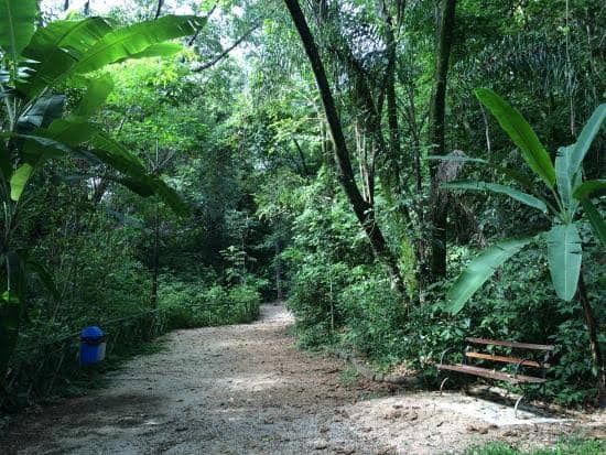 Parque Natural da Biquinha - Image 2