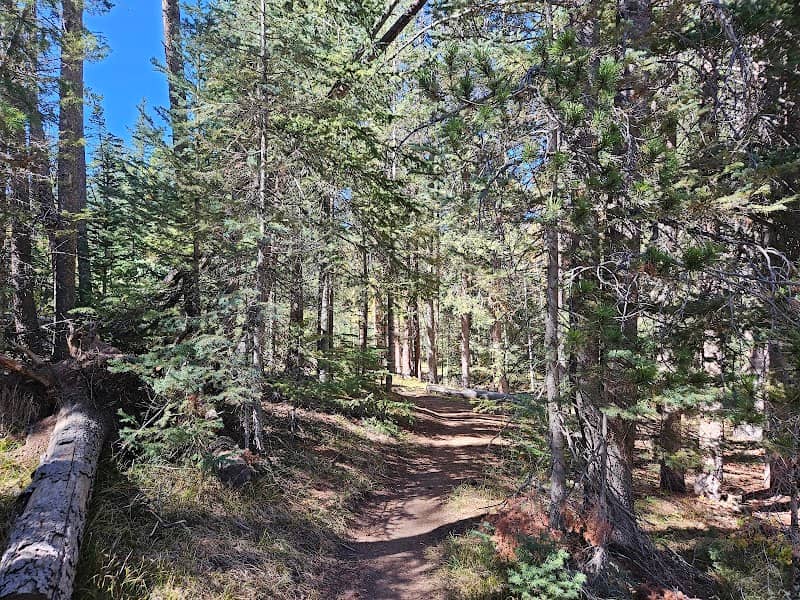 Happy Jack Recreation Area Trailhead - Image 1