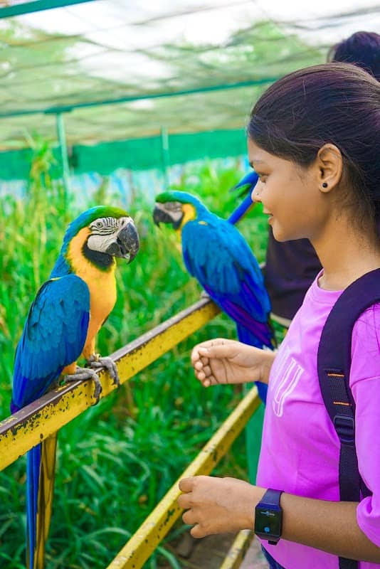 Bird Aviary, Indore Zoo - Image 1