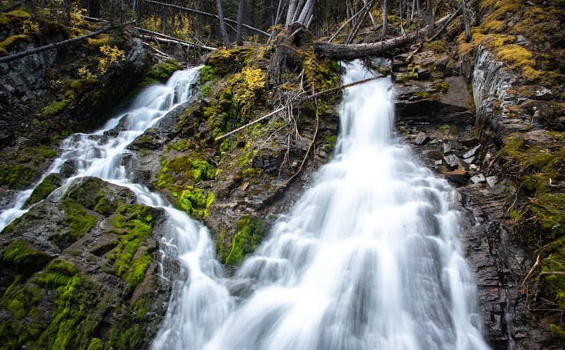 Peter Lougheed Provincial Park - Image 3