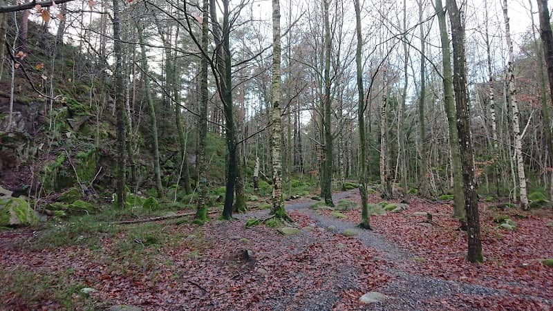 Randviga - Image 3