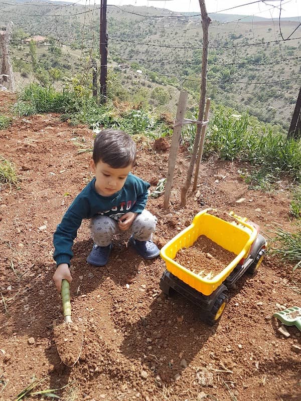 Atlasın Bahçesi - Image 1