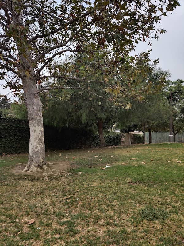 Saddleback View Park - Image 1