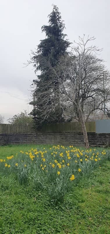 Green space - Image 1