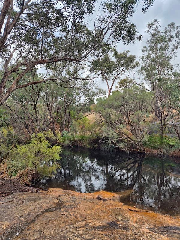 Thompson Trail - Image 1