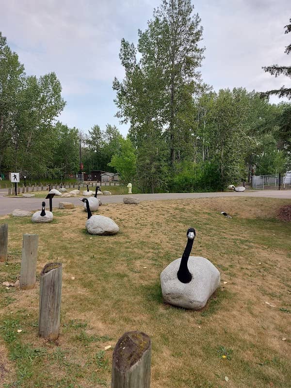 Boulder Geese - Image 1