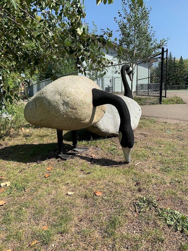 Boulder Geese - Image 2