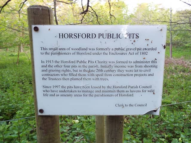 Horsford Public Pits. Dog Lane Plantation - Image 1