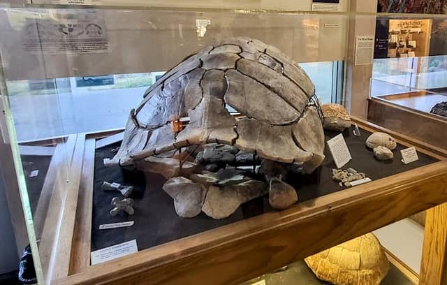Sierra College Natural History Museum - SCNHM - Image 1