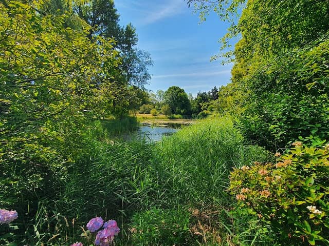 Von Gimborn Arboretum - Image 3