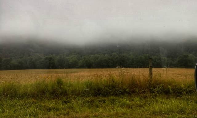 Whispering Pines Park - Image 3