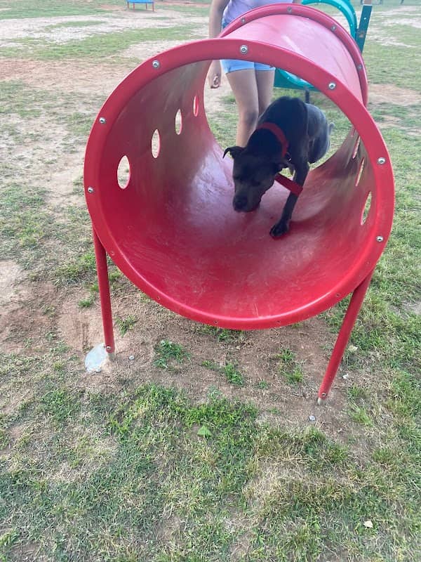 Richardson Dog Park - Image 2