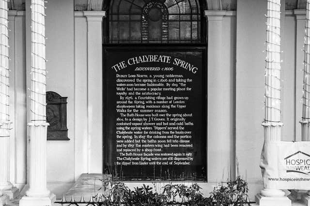 The Chalybeate Spring - Image 2