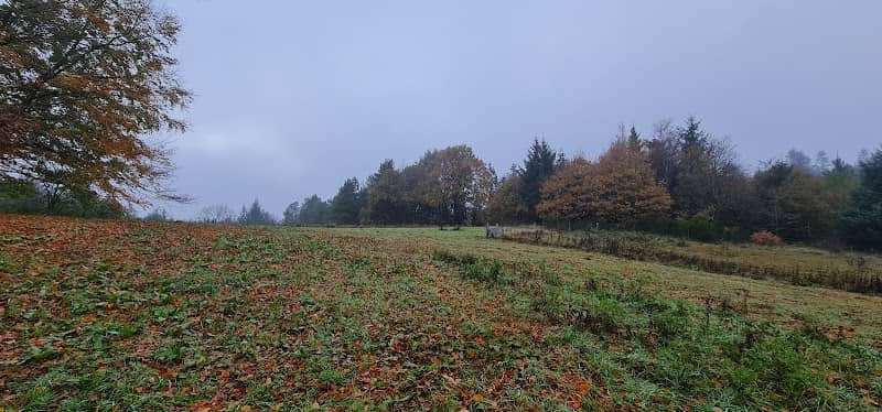 Hundeskoven Lerskov… - Image 1
