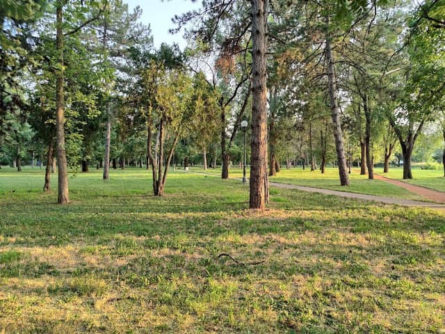 Šećeranski Park - Image 1