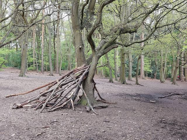 Berry Hill Park Woods - Image 1