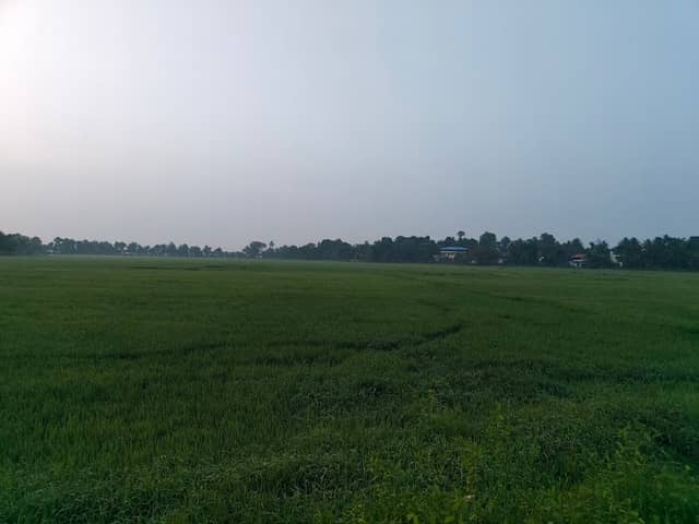 Nature Beauty - Image 1