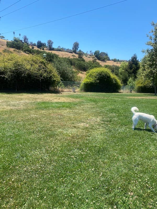 Wardlaw Park - Image 1