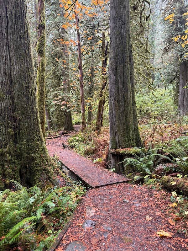 Goldstream park - Image 1