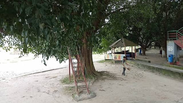 Bot Tola I - Badh - Image 2