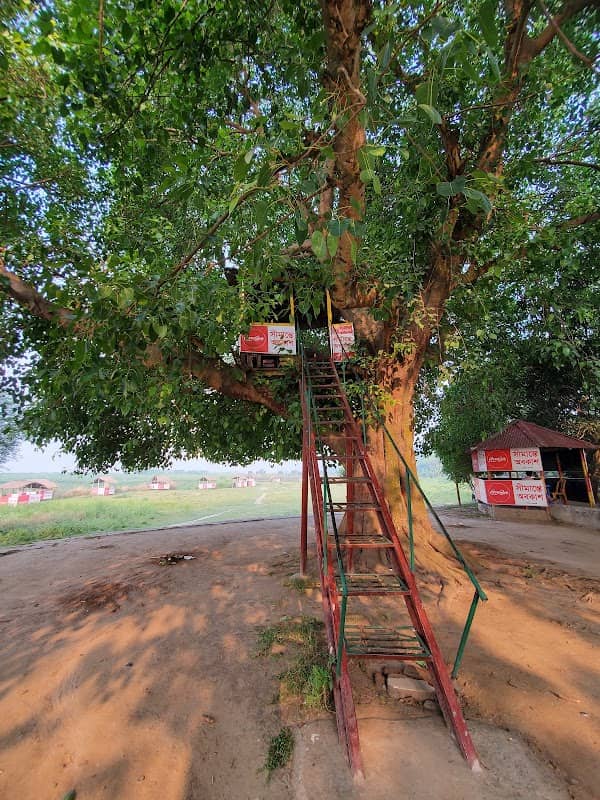 Bot Tola I - Badh - Image 1