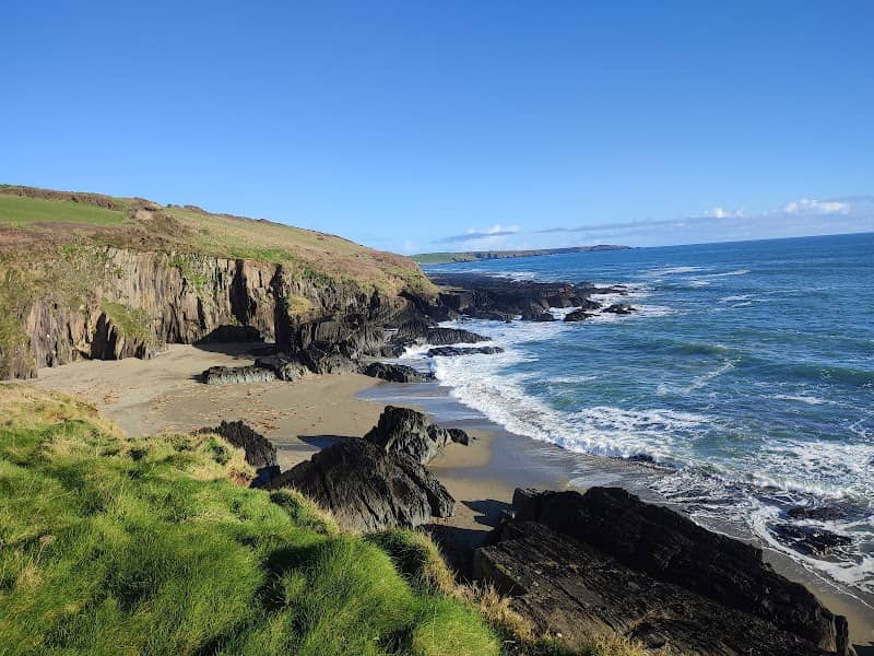 Sheep Cove - Image 1