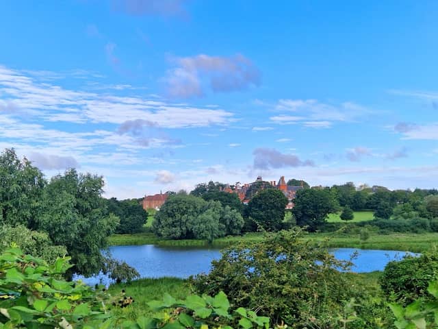Framlingham Mere - Image 2