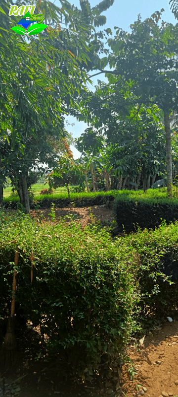 Desa Wisata Rafi Family - Image 1