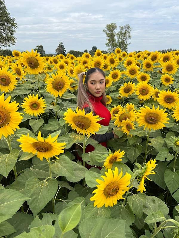 Prao Tawan Farm Khaoyai - Image 1