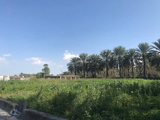 مزرعه الارض البركه - Image 1