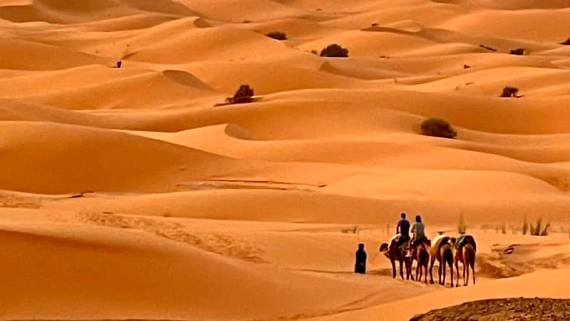 Sahara Desert Morocco - Image 1