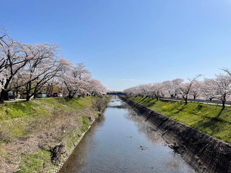 Mitsuiyama Park - Image 2