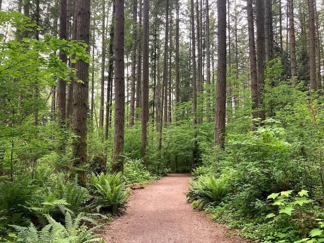 Sunnyside Acres Urban Forest Park - Image 1