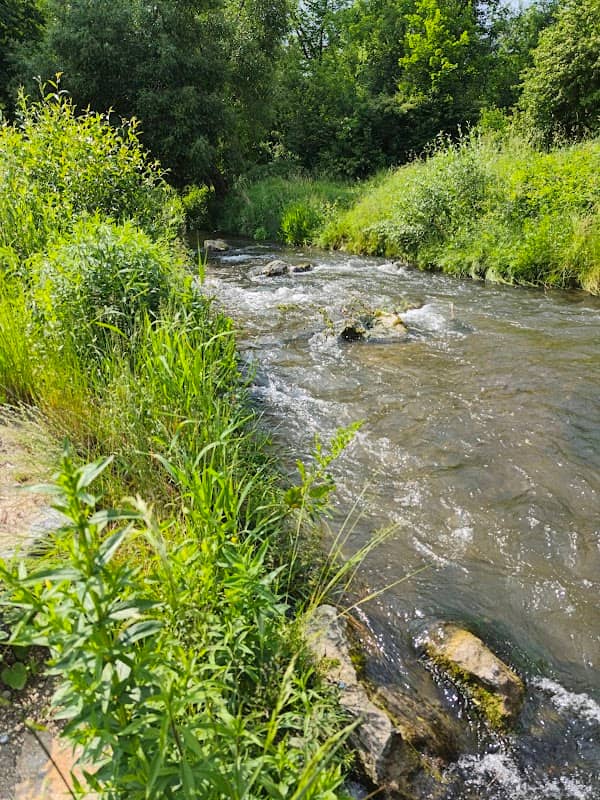 Naumündung in die Donau Günzburg - Image 1