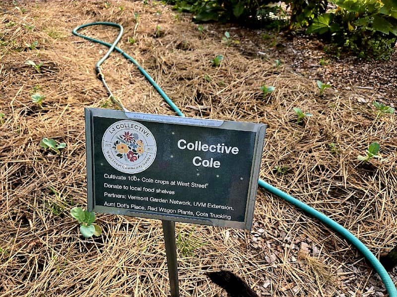 Community Garden Trail - Image 2