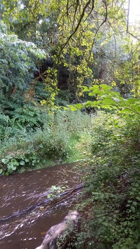 Levern Water - Image 2