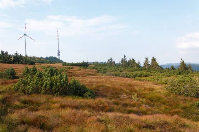 Nature reserve Wilder See - Hornisgrinde - Image 3