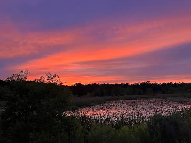 Boykin Pond - Image 1