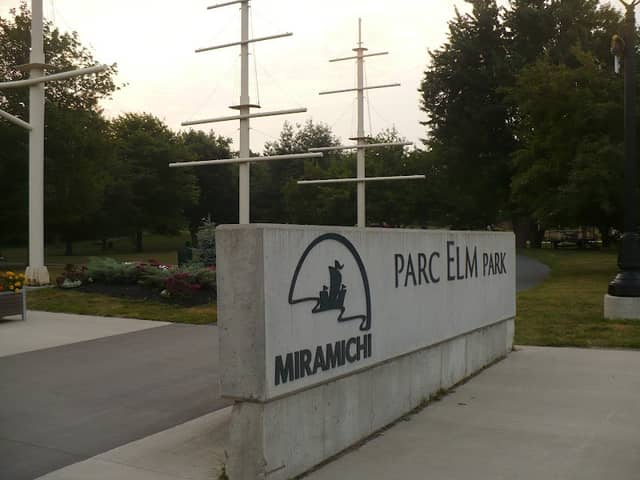 Elm Park - Image 2