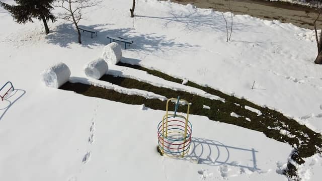 Горски парк „60 дървета за града“ - Image 2