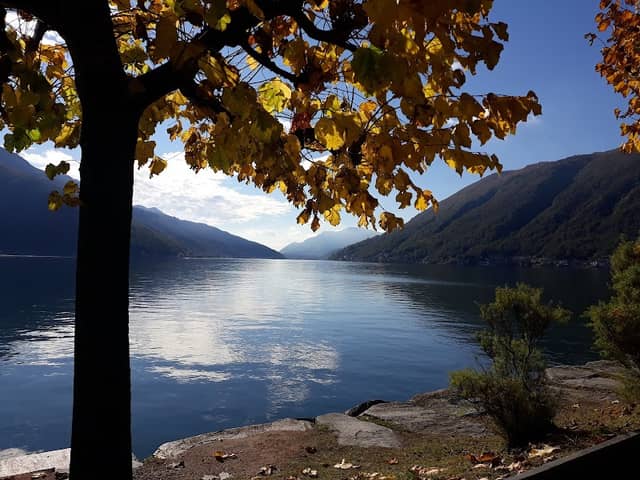Lungolago di Bissone - Image 1
