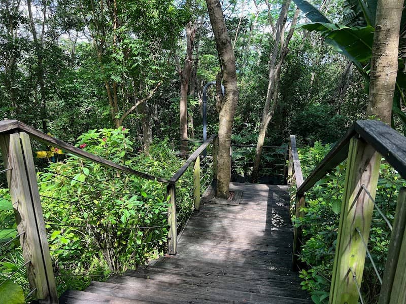 Australian Garden - Image 1