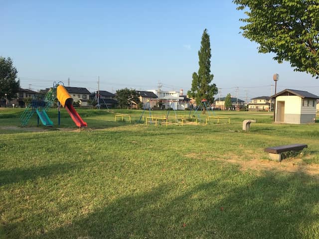 Tarin - Hossain park - Image 1