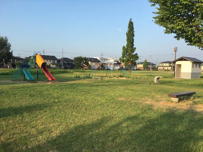 Tarin - Hossain park - Image 1