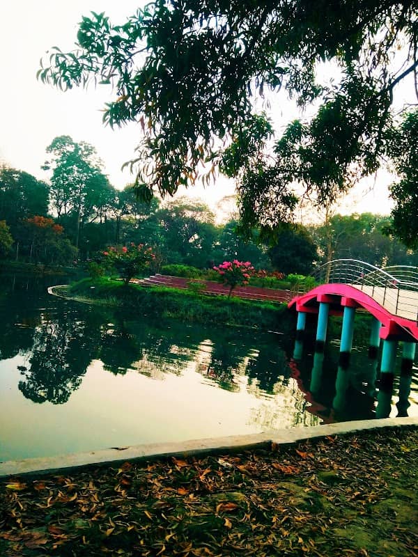 Artificial lake - Image 1
