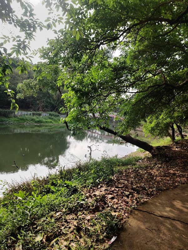 Artificial lake - Image 2